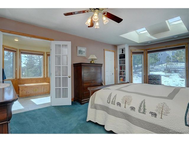 18780 Morrison Creek Cir, Buena Vista, CO 81211