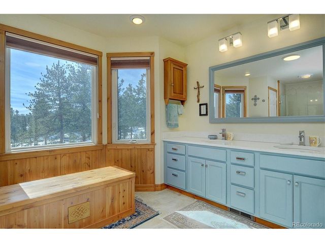 18780 Morrison Creek Cir, Buena Vista, CO 81211