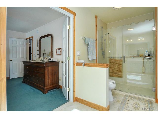 18780 Morrison Creek Cir, Buena Vista, CO 81211