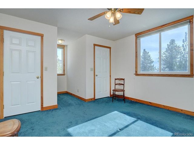 18780 Morrison Creek Cir, Buena Vista, CO 81211