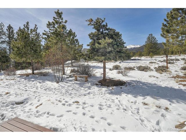 18780 Morrison Creek Cir, Buena Vista, CO 81211