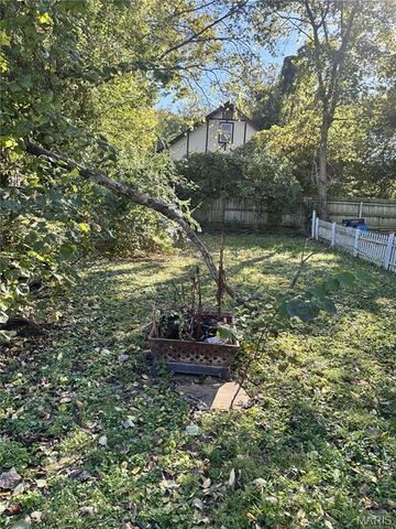 411 Adams Street, St Charles, MO 63301