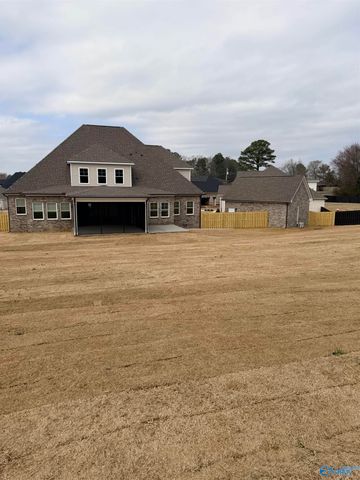 107 Cotton Seed Court, New Market, AL 35761