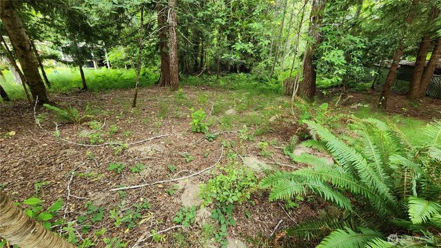 100 E Creekside Dr, Belfair, WA 98528