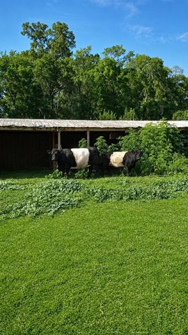 10553 NE 36TH AVENUE, Anthony, FL 32617