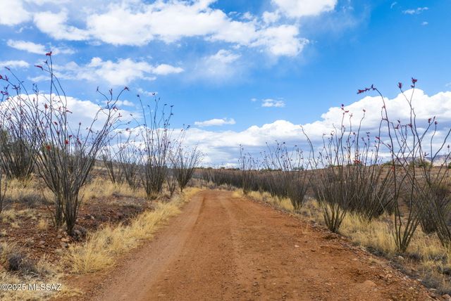 21 Ranchero Court, Patagonia, AZ 85624