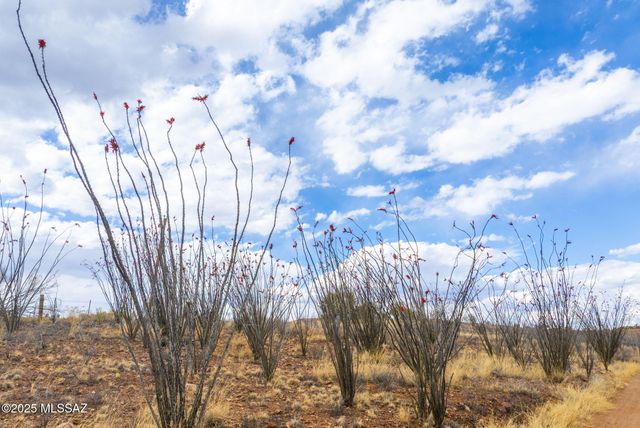 21 Ranchero Court, Patagonia, AZ 85624