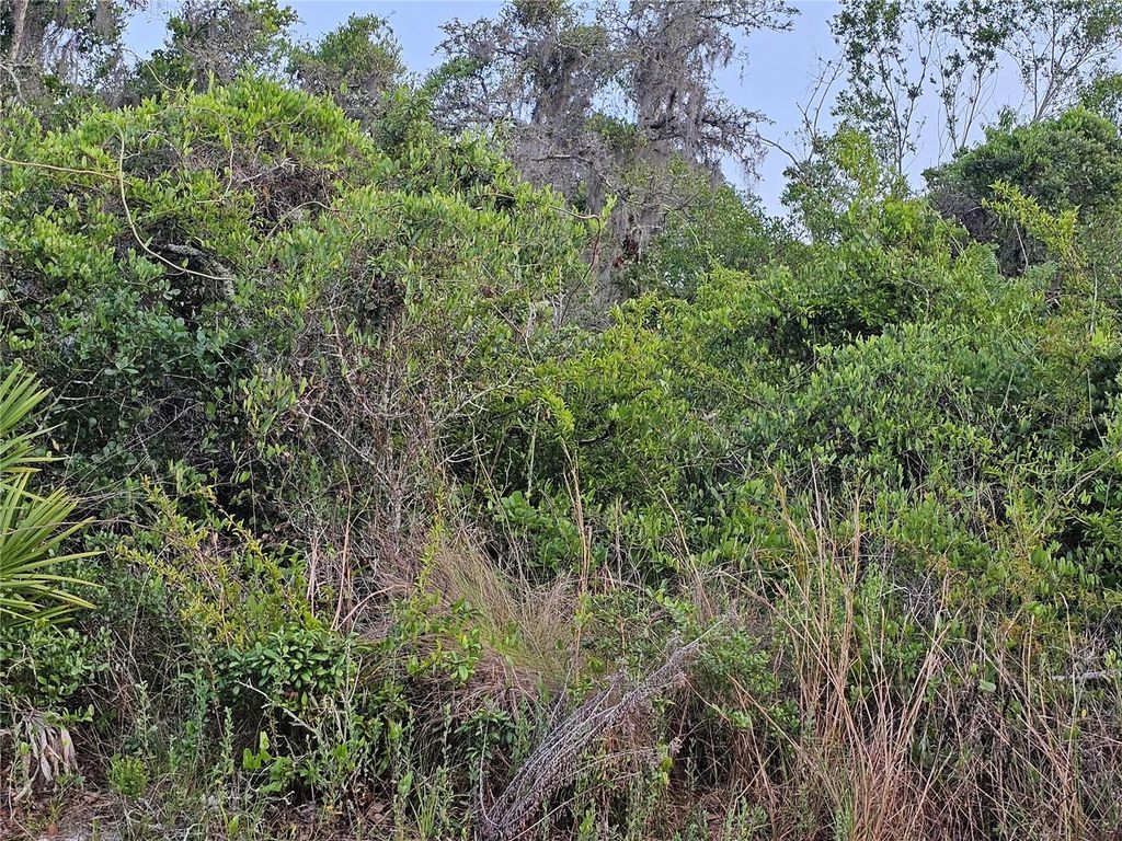 00 POPPY STREET, New Port Richey, FL 34654