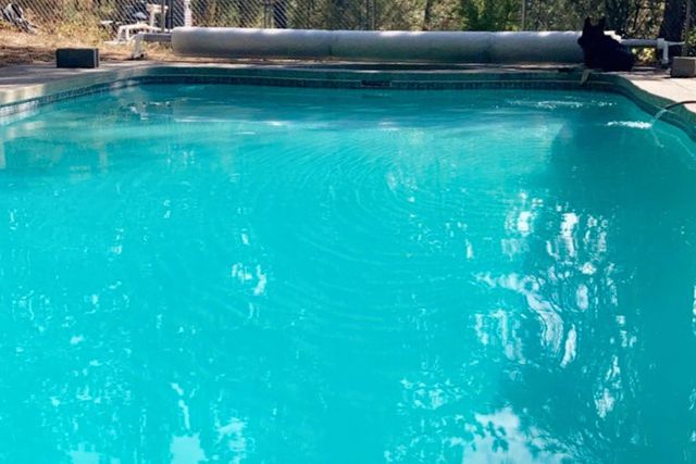 32302 N Hardesty Rd, Chattaroy, WA 99003