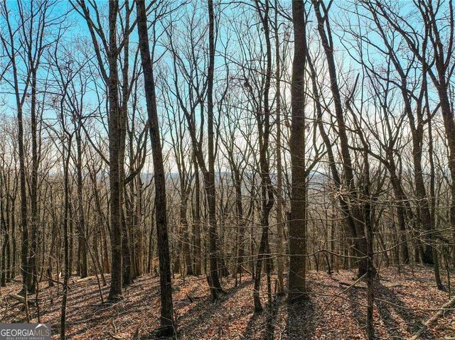 LOT 2 Mount Mincie Road, Murrayville, GA 30564
