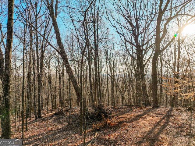 LOT 2 Mount Mincie Road, Murrayville, GA 30564