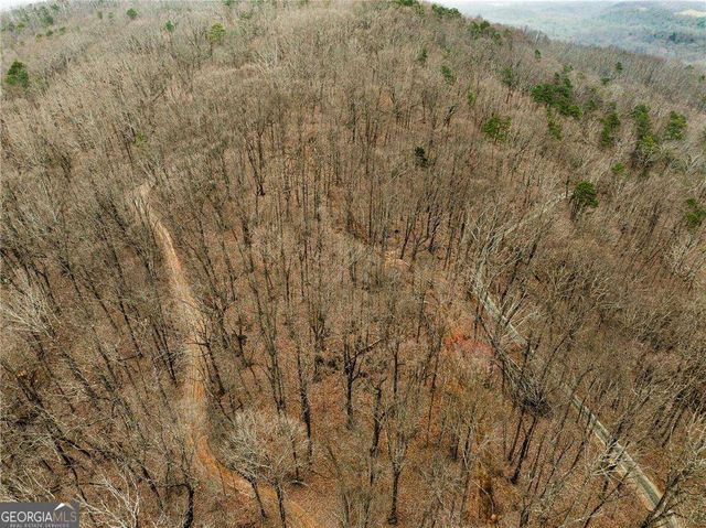 LOT 2 Mount Mincie Road, Murrayville, GA 30564