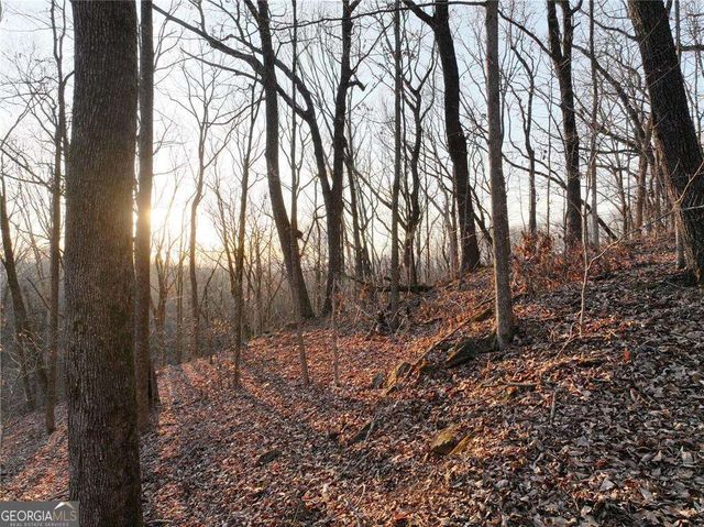 LOT 2 Mount Mincie Road, Murrayville, GA 30564