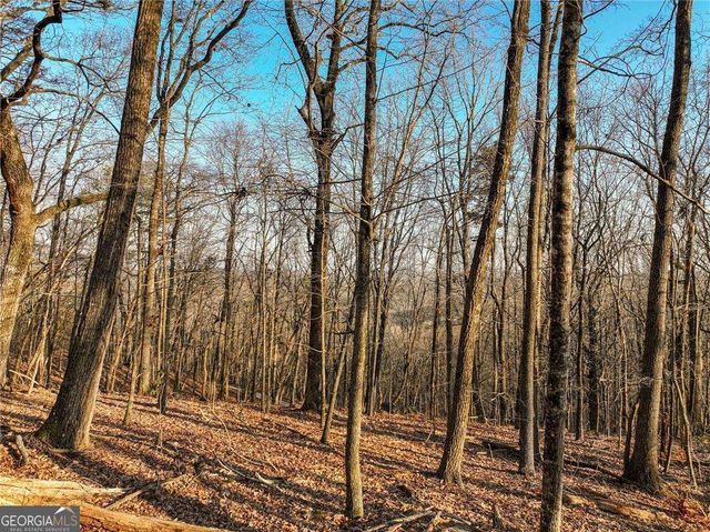 LOT 2 Mount Mincie Road, Murrayville, GA 30564