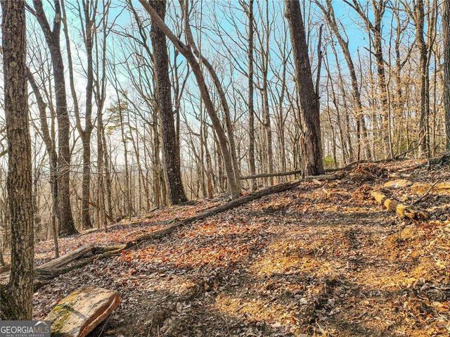 LOT 2 Mount Mincie Road, Murrayville, GA 30564