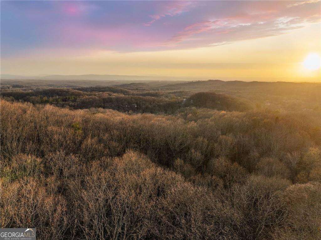 LOT 2 Mount Mincie Road, Murrayville, GA 30564