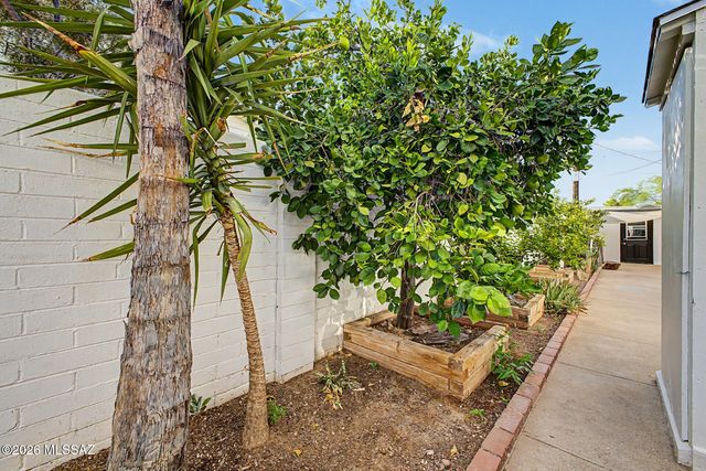 4655 E 8th Street, Tucson, AZ 85711
