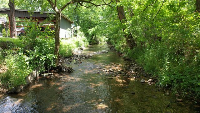 2540 Carl Fox Rd, Cornersville, TN 37047