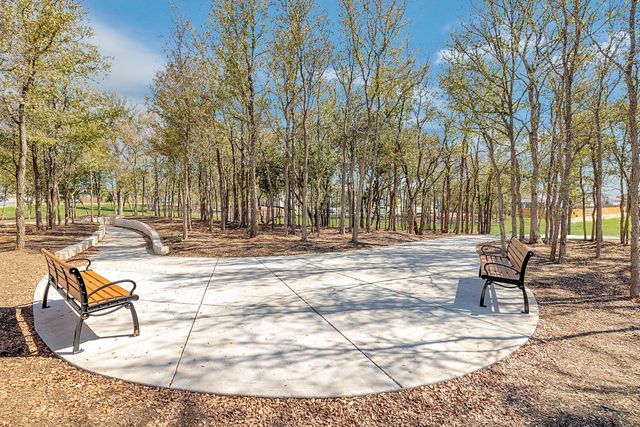 310 Bendecido LOOP, Elgin, TX 78621