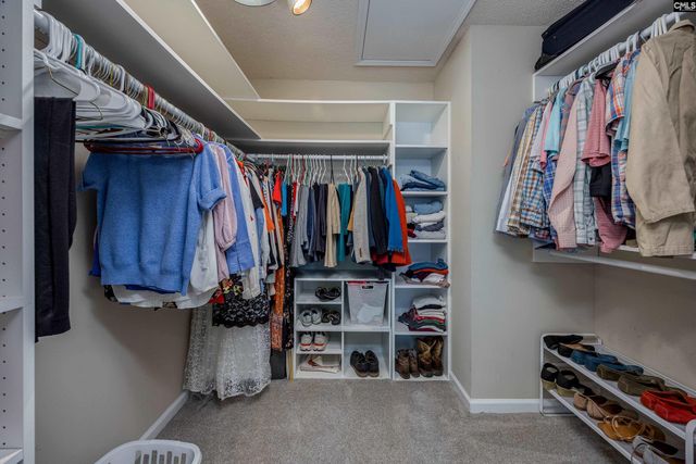 306 Water Hickory Way, Columbia, SC 29229