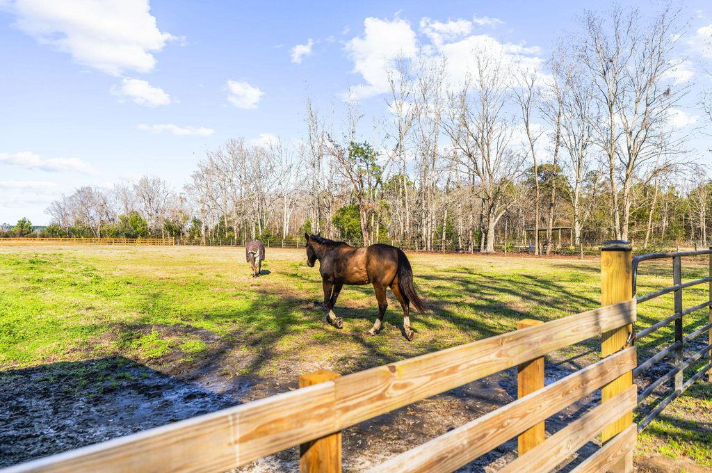 Image 11 of property listing at 163 Keans Neck Road, Seabrook, SC 29940