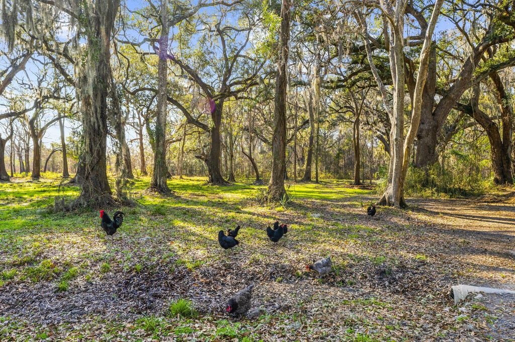 Image 12 of property listing at 163 Keans Neck Road, Seabrook, SC 29940