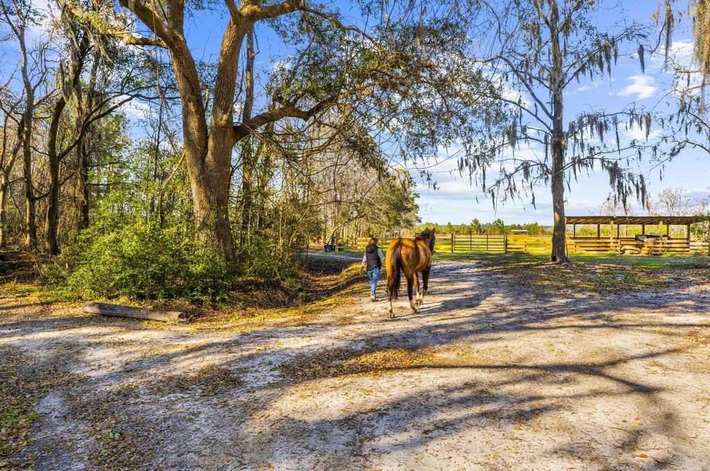 Image 51 of property listing at 163 Keans Neck Road, Seabrook, SC 29940