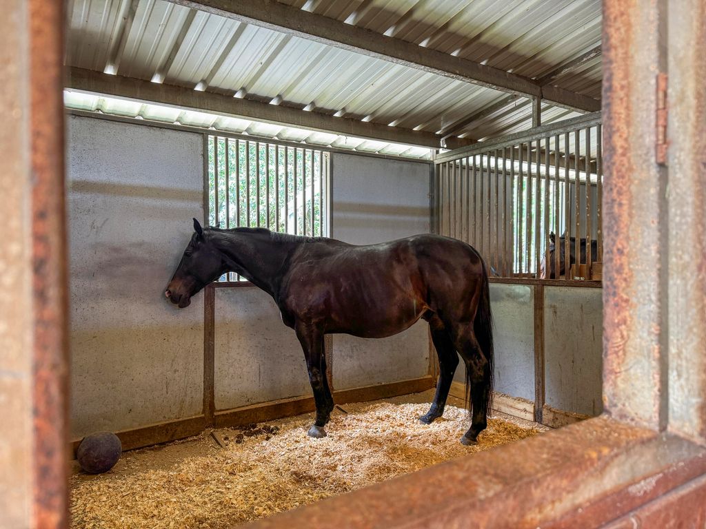 Image 55 of property listing at 163 Keans Neck Road, Seabrook, SC 29940