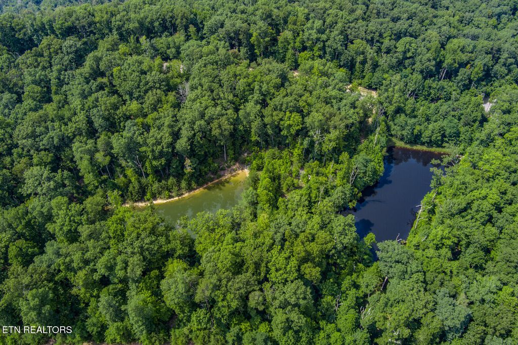 119 Westridge Tr, Monterey, TN 38574