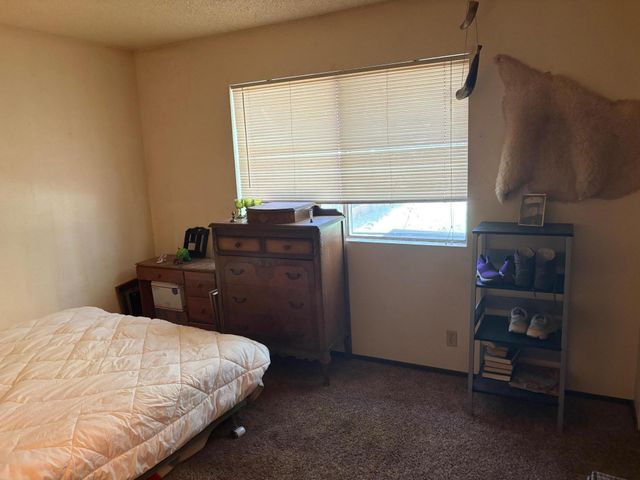 20194 Sugar Pine Street, Burney, CA 96013
