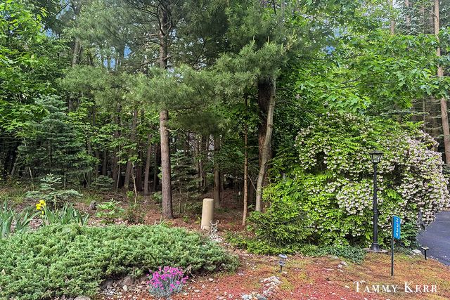 2339 Forest Trail Circle, Fennville, MI 49408