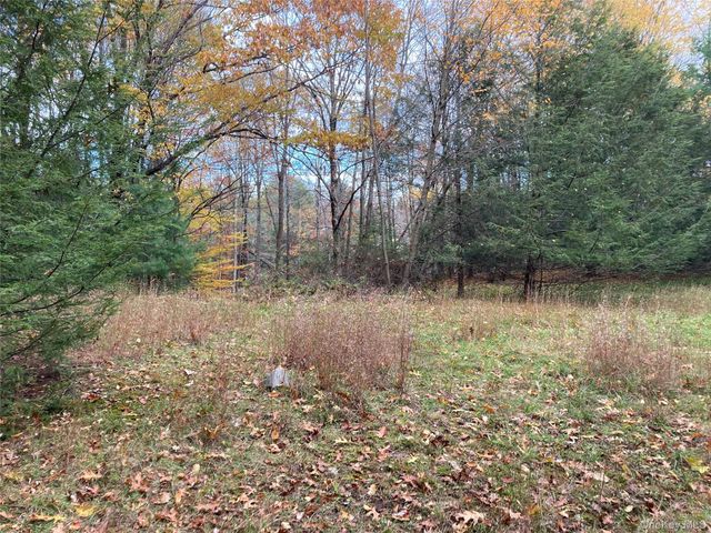 403 & 405 Rock Hill Drive, Rock Hill, NY 12775