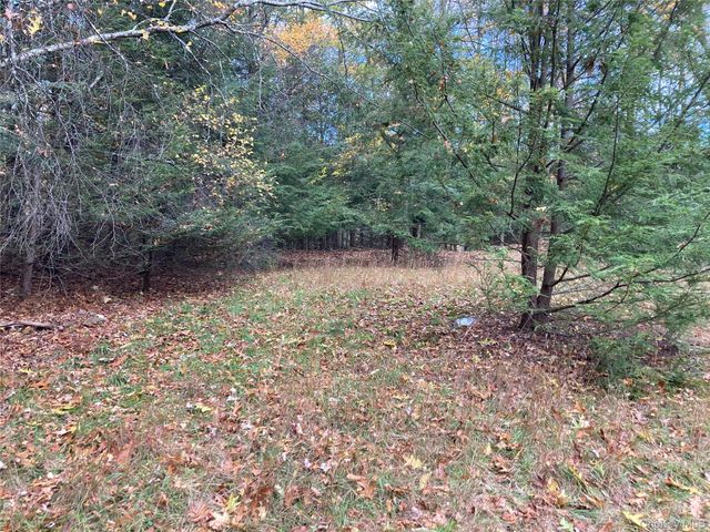 403 & 405 Rock Hill Drive, Rock Hill, NY 12775