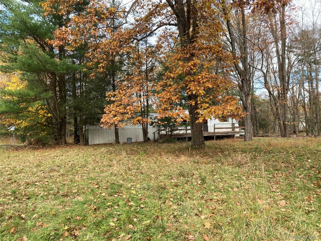 403 & 405 Rock Hill Drive, Rock Hill, NY 12775