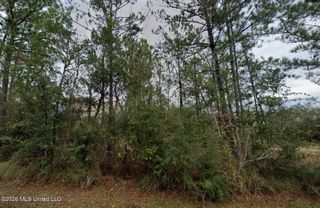 Dolphin Street, Bay Saint Louis, MS 39520