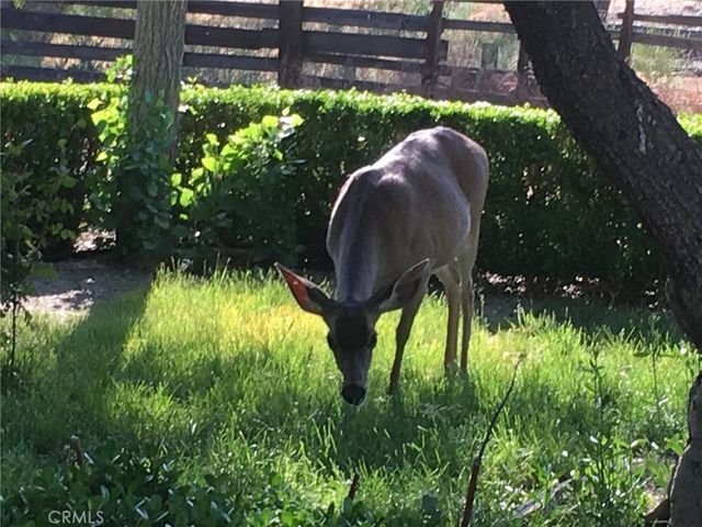 0 1 Nickel Creek Road, San Miguel, CA 93451