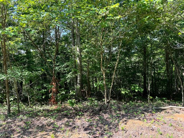 11 Genes Road, Somerset, KY 42503