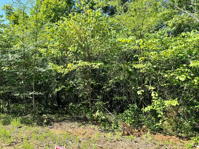 11 Genes Road, Somerset, KY 42503