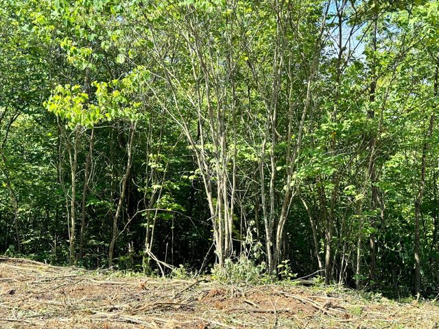 11 Genes Road, Somerset, KY 42503