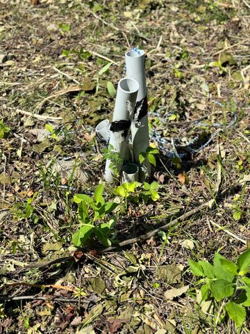 11 Genes Road, Somerset, KY 42503