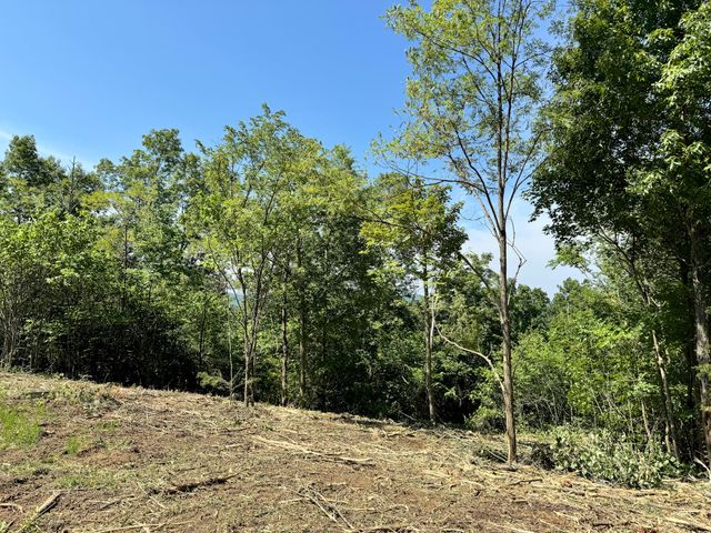 11 Genes Road, Somerset, KY 42503