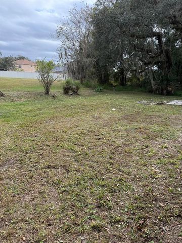 146 REDWING COURT, Kissimmee, FL 34759