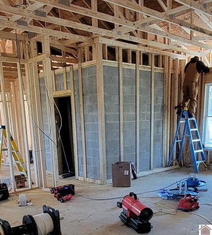 80 Ellie Court, Mayfield, KY 42066