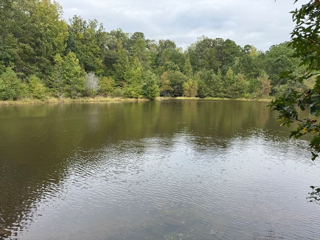 170 Crabapple Loop, Waverly Hall, GA 31831