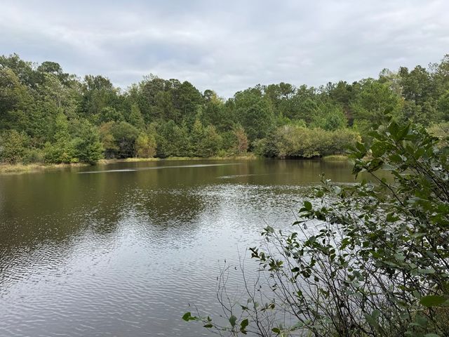 170 Crabapple Loop, Waverly Hall, GA 31831