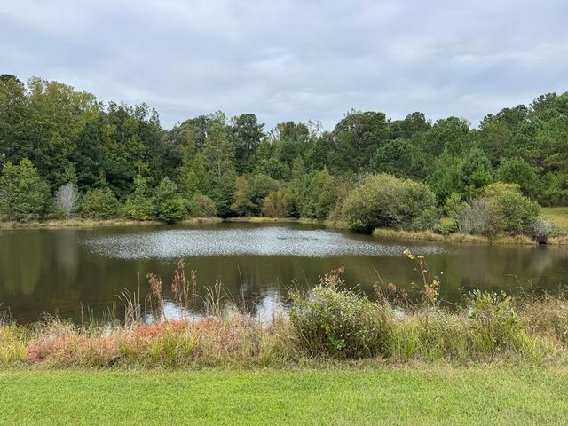 170 Crabapple Loop, Waverly Hall, GA 31831