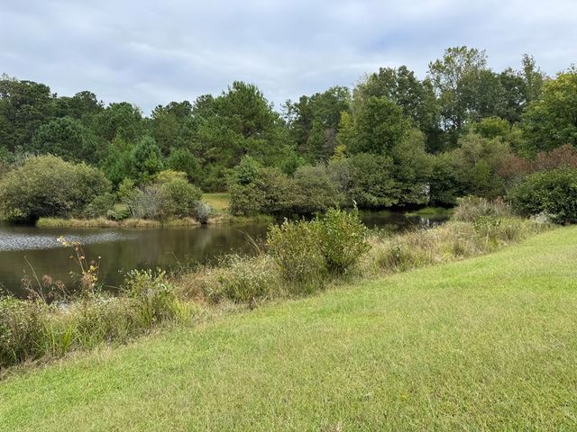 170 Crabapple Loop, Waverly Hall, GA 31831