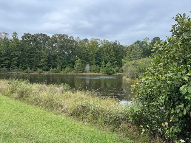 170 Crabapple Loop, Waverly Hall, GA 31831