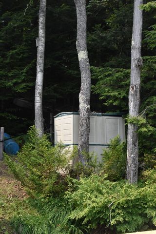 195 Meadow Lane, Woodbury, VT 05681