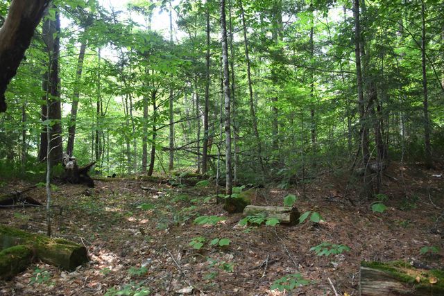 195 Meadow Lane, Woodbury, VT 05681